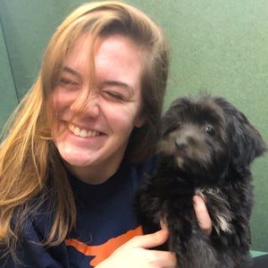 Meet your Posher, Zoe